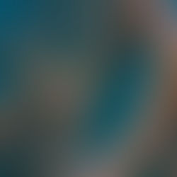 台風明けのマクロダイブ(^^♪