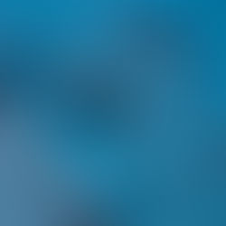 網取まで行けました。