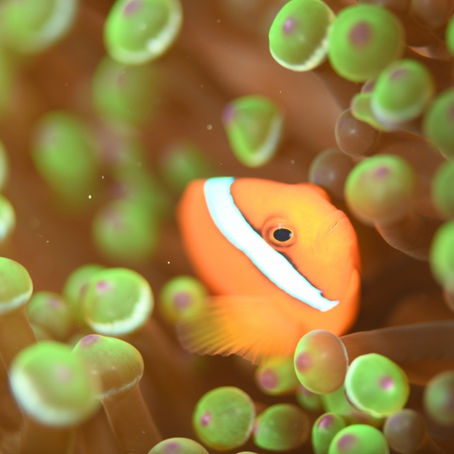 本年もありがとうございました！