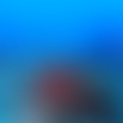 曇りだけど海況良し◎