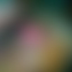 またまた強風に(^_^;)