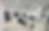 IMG_8557.PNG