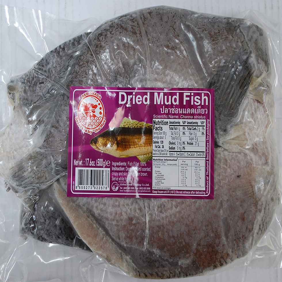 mudfish2
