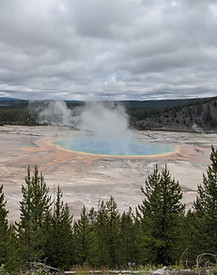 IMG_20200630_114019.jpg
