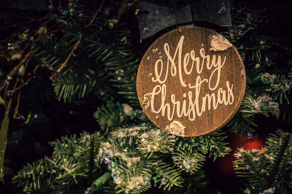 Merry Christmas from all of us at altPlus, Best wishes for a healthy, happy, and peaceful New Year.