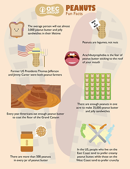 peanuts fun facts-01.png