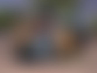 Two Arizona Rangers Killed in Northern Arizona Double Homicide