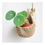 Thumbnail: Jute Plant Sack (small, medium, large)
