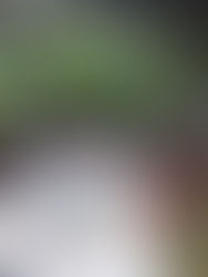 From London to Kibera: our volunteers on the ground (A week of impact)