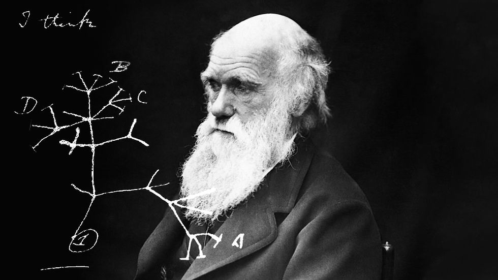 Darwin e a Árvore da Vida