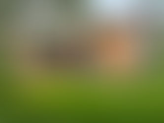 A Quiet Setting, A Connected Location