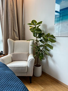 plant styling