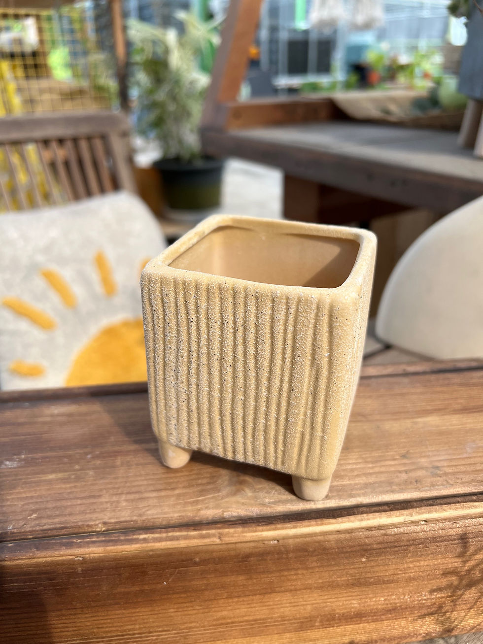 Thumbnail: ‘Gabriel’ Pots