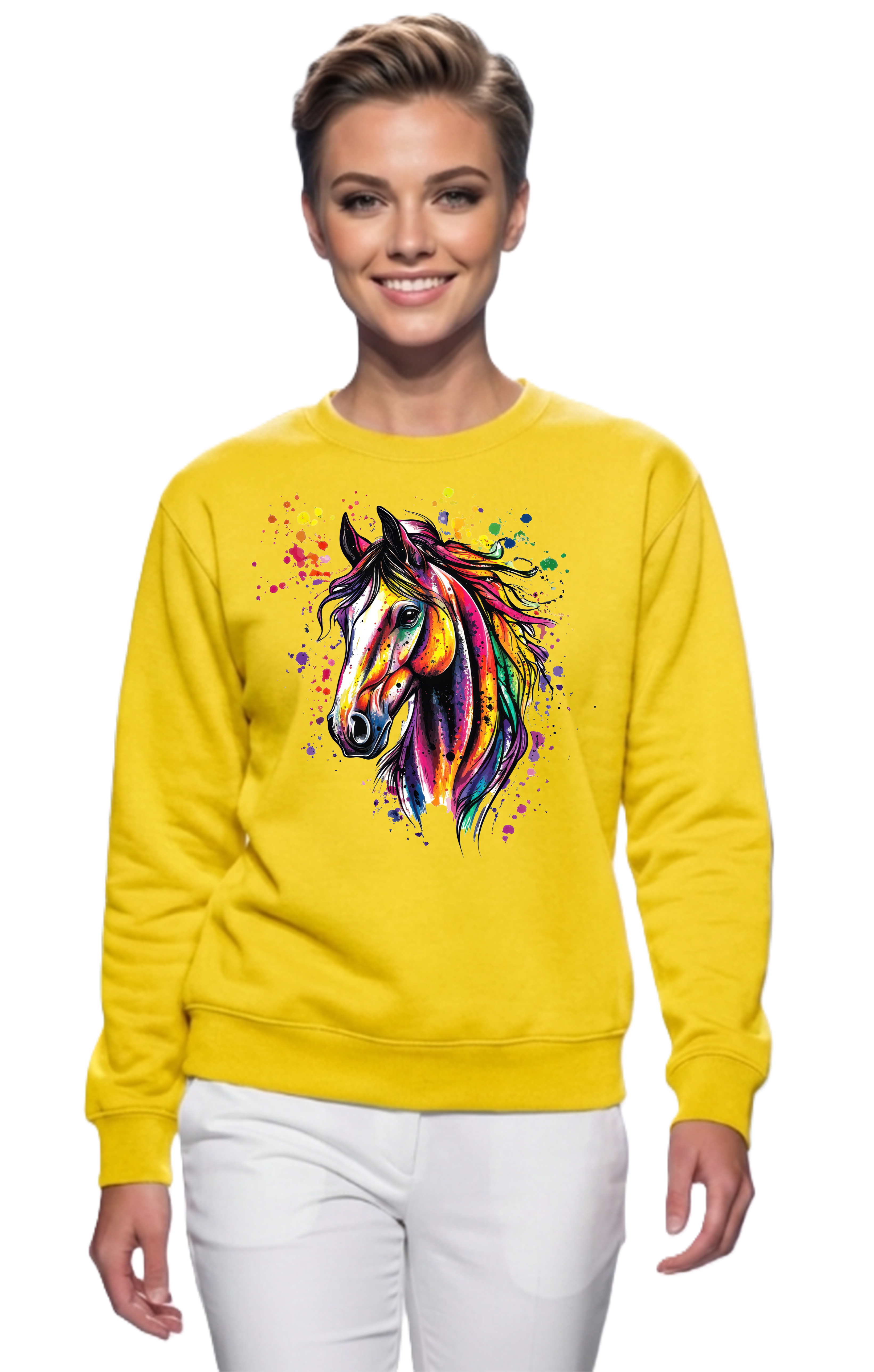 Premium Art Pullover