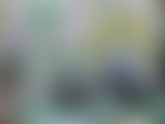 Παγκόσμια ημέρα περιβάλλοντος