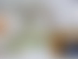 Υπ’αριθμ. 6234 / 1-8-2024 κοινοβουλευτική ερώτηση μου. Επιμένουμε για το Κτηματολόγιο στη Φθιώτιδα παρά την Αρνητική Απάντηση του Υπουργείου