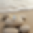 Gemini_Generated_Image_dc3rbpdc3rbpdc3r.png