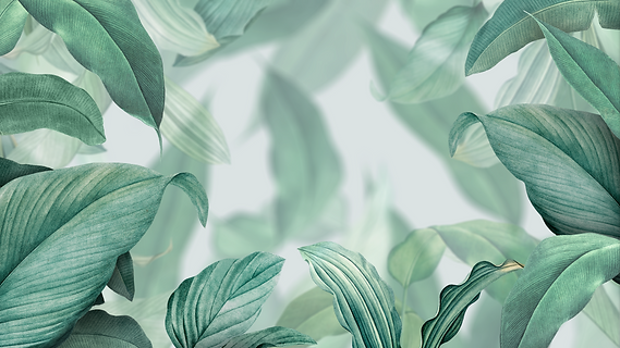 botanical light.PNG