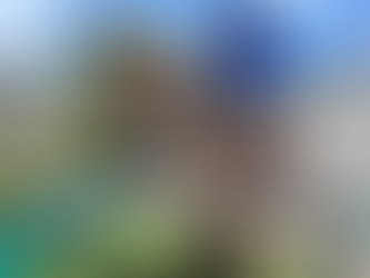 Professional Playset Installer