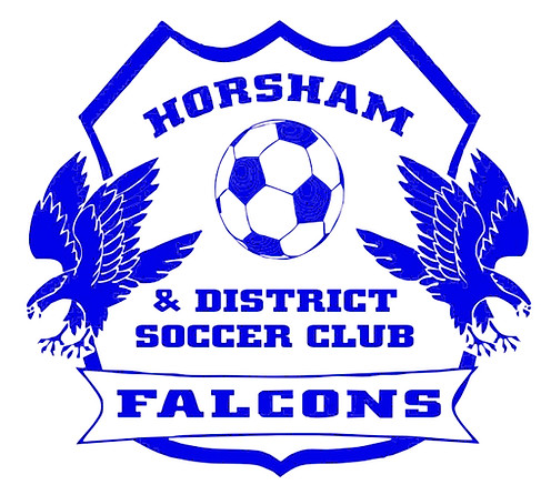 HDSC LOGO BANNER_edited.jpg