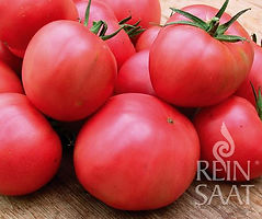 Tomaten