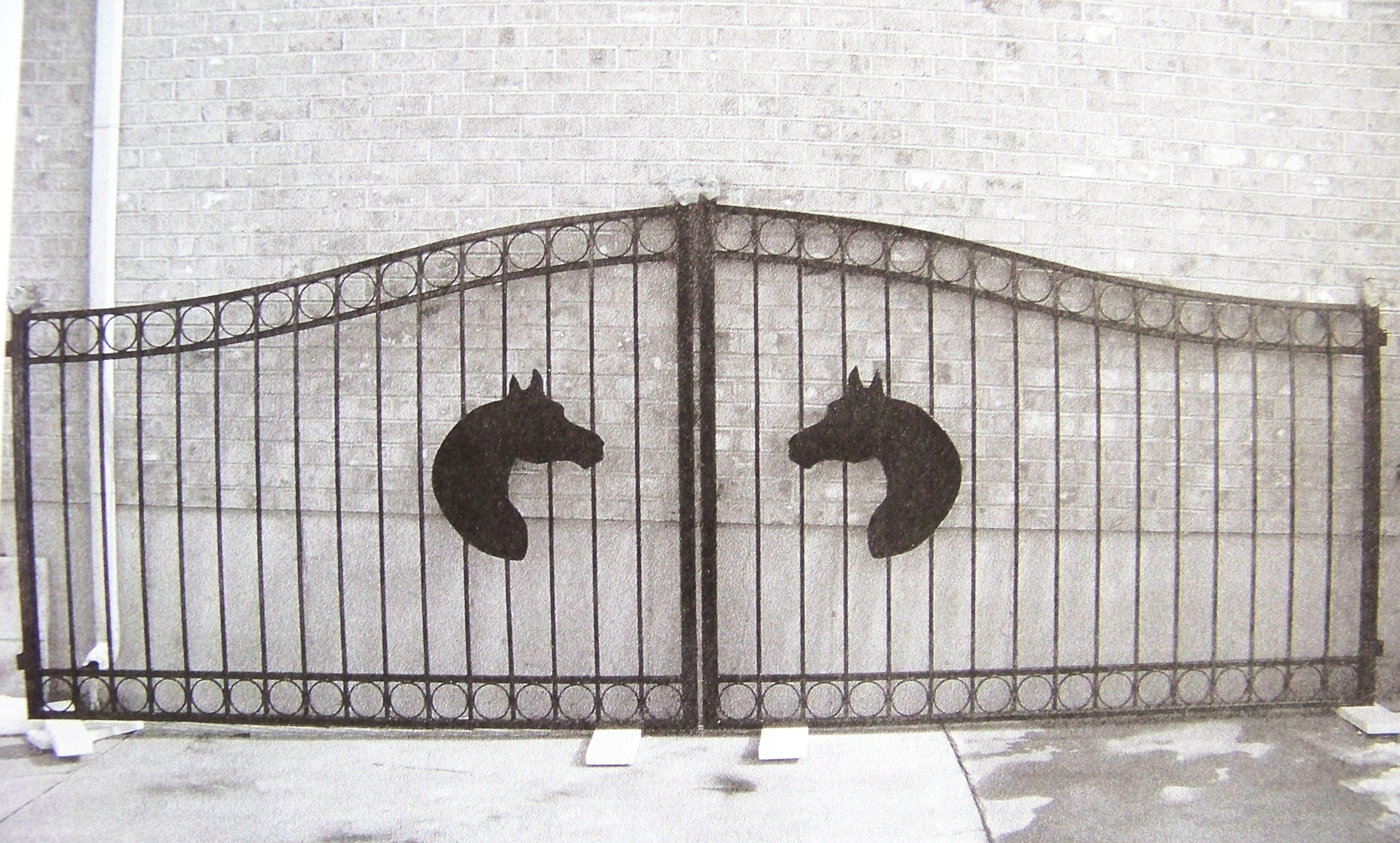 Custom Double Arch western horse head and rings #232