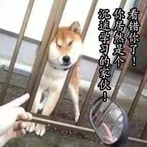 如果手机只能留下一款学习软件,我选它!