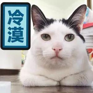 一篇让你的假期远离死宅的推文!