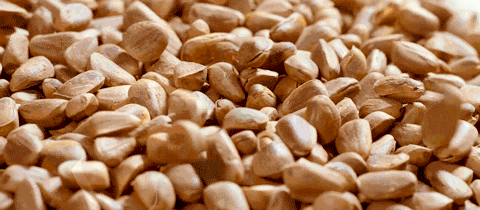 当我在复习的时候,我选择吃什么?