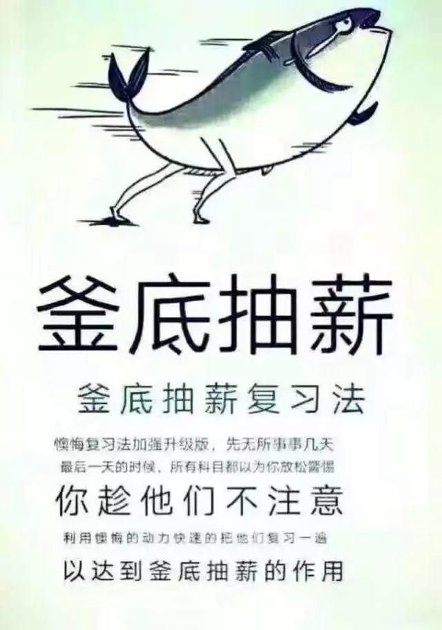 final季赶论文熬夜嗑药到上瘾,久了就只能强制戒毒了!