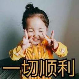 2019英国最新入境限制携带物品清单!