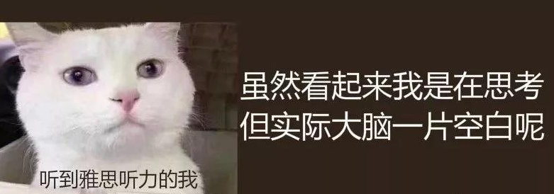 从国外雅思考官口中说出的高分技巧【免费领7.5分雅思大礼包】