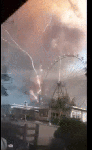 澳洲30万蝙蝠入侵!新型肺炎肆虐,美国流感10000人死亡,这是什么魔幻的2020年...