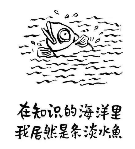 考试倒计时!怎么复习才能既高效又省力?
