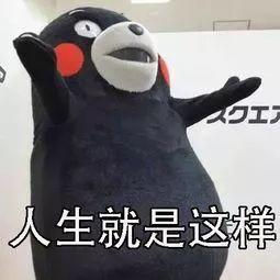Assignment中最常遇到的题型,比较分析怎么写才不出错?