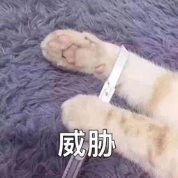 2020,论这一年给留学生带来的变化