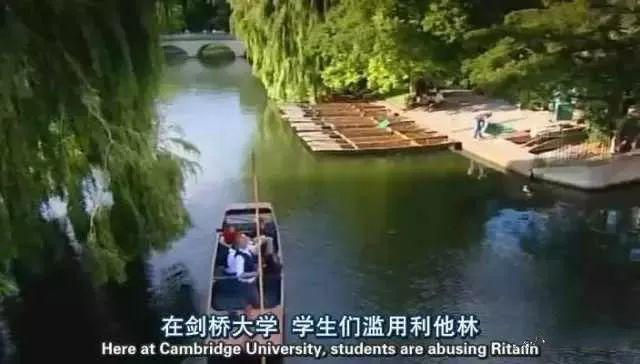 final季赶论文熬夜嗑药到上瘾,久了就只能强制戒毒了!