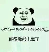 final季赶论文熬夜嗑药到上瘾,久了就只能强制戒毒了!