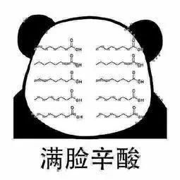 PHD的苦逼生活!这漫画笑到停不下来~