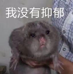 留学生:今天又是被“抑郁”的一天