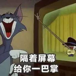 Final来袭!澳洲学习压力世界第一大!别人脱单我脱发...