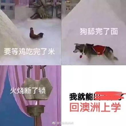 “回不去”的澳洲留学生