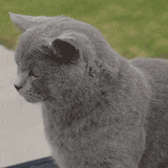 英国大学就业率排行榜出炉!牛津剑桥在倒数?