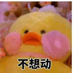 当我在复习的时候,我选择吃什么?