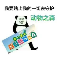 2020留学生的上半年总结