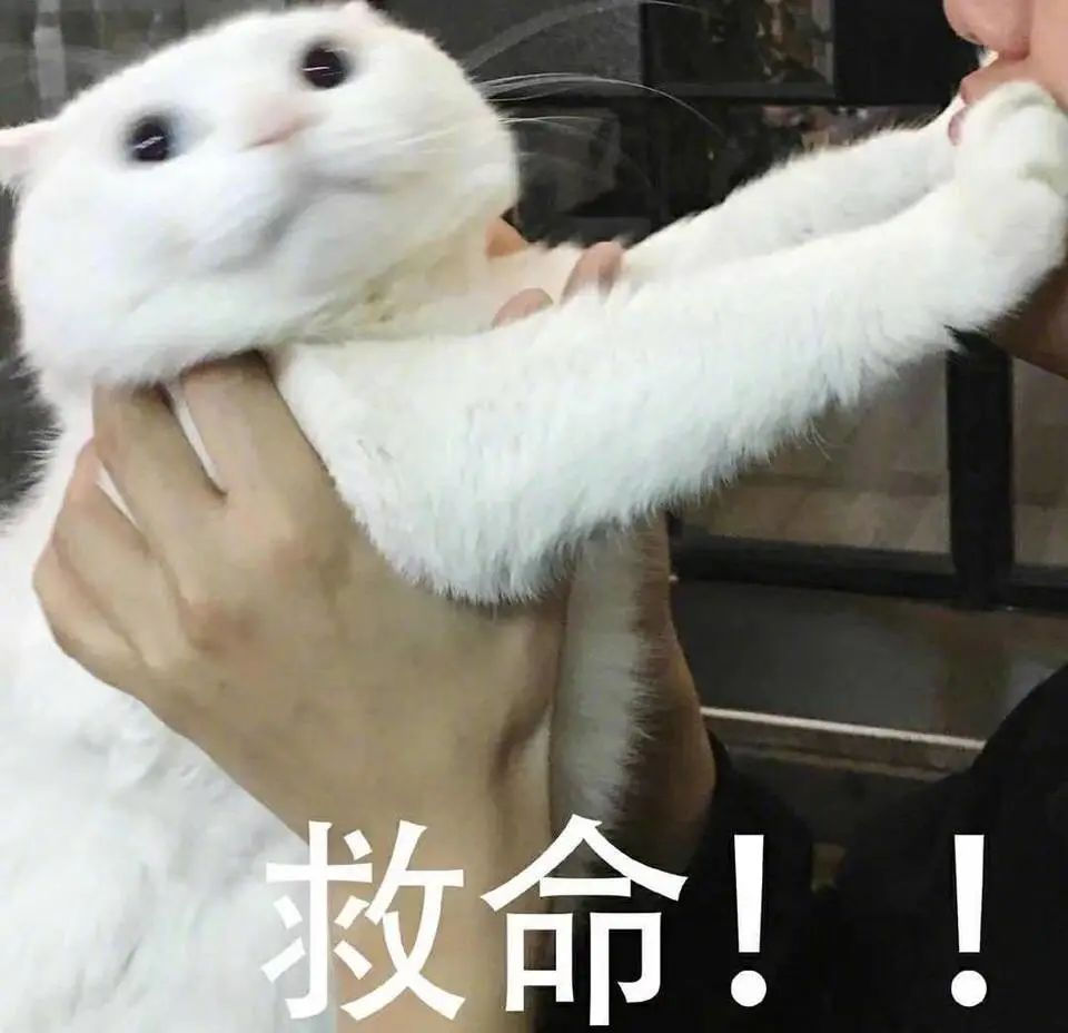 后疫情时代,英国大学将会有哪些新的变化?