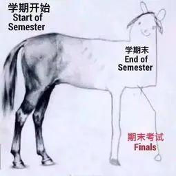 留学生的学业困难才刚刚开始!