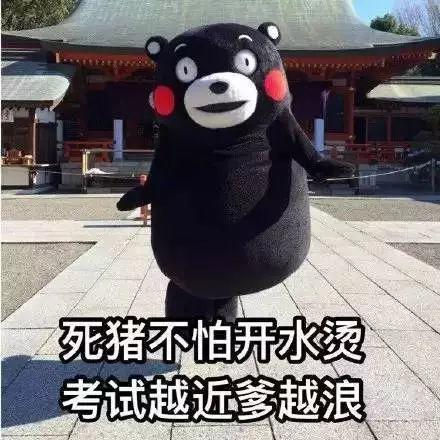 在澳洲挂科的惨,你想象不出来~