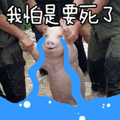 小组讨论battle指南!