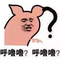 一篇让你的假期远离死宅的推文!